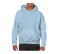 HEAVY BLEND ADULT HOODED SWEATSHIRT