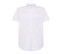 CASUAL & BUSINESS SS SHIRT OXFORD